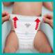 Pampers Pieluchomajtki Pants Premium Care 4, 9-15 kg, 38 szt. 3