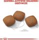 Royal Canin Royal Canin Maxi Joint Care karma sucha dla psów dorosłych, ras dużych ochrona stawów 10kg 4