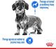 Royal Canin Mini Light Weight Care karma sucha dla psów dorosłych, ras małych z tendencją do nadwagi 1kg 3