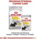 Royal Canin Royal Canin Mini Dermacomfort karma sucha dla psów dorosłych, ras małych o wrażliwej skórze skłonnej do podrażnień 8kg 6