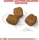 Royal Canin Royal Canin Mini Dental Care karma sucha dla psów dorosłych ras małych do 10 kg higiena zębów 3kg 4
