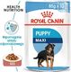 Royal Canin Maxi Puppy karma mokra dla szczeniąt, od 2 do 15 miesiąca życia, ras dużych saszetka 140g 1