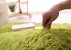 Dywan gruby gęsty miękki pluszowy - Living Room Shaggy 200x290 - SilverFur uniwersalny 3