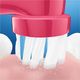 Szczoteczka Oral-B Vitality Kids D100 Frozen Niebieska 4