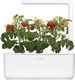 Click And Grow Click&Grow Inteligentna doniczka Smart Garden 3 White 2