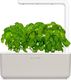 Click And Grow Click&Grow Inteligentna doniczka Smart Garden 3 Mellow Beige 4