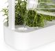 Click And Grow Click&Grow Inteligentna doniczka Smart Garden 9 White 2