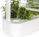 Click And Grow Click&Grow Inteligentna doniczka Smart Garden 9 Beige 1
