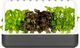 Click And Grow Click&Grow Inteligentna doniczka Smart Garden 9 Dark Grey 1