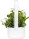Click And Grow Click&Grow Inteligentna doniczka Smart Garden 9 Dark Grey 1