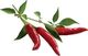 Click And Grow Click&Grow Kapsułki z nasionami Smart Soil Papryczka Chili 3pak 5