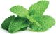 Click And Grow Click&Grow Kapsułki z nasionami Smart Soil Mięta pieprzowa 3pak 1