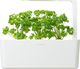 Click And Grow Click&Grow Kapsułki z nasionami Smart Soil Pietruszka 3pak 1