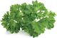 Click And Grow Click&Grow Kapsułki z nasionami Smart Soil Pietruszka 3pak 4