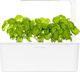 Click And Grow Click&Grow Kapsułki z nasionami Smart Soil Bazylia 3pak 1