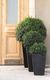 Curver Curver Rattan Planter M 55,4 L antracytowa 228974 1