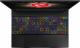 Laptop MSI GE65 Raider 9SF (9SE-072PL) 5