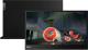 Monitor Lenovo ThinkVision M14 (61DDUAT6EU) 3