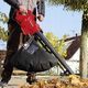 Einhell Odkurzacz do liści GC-EL 2500 E (3433300) 3