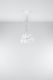 Lampa wisząca Sollux Lampa wisząca DIEGO 5 biała 4