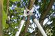 Sekator Gardena EasyCut 680B nożycowy 2