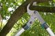 Sekator Gardena EnergyCut 750B nożycowy 3