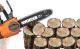 Piła łańcuchowa Worx WG322E.9 20 V 25 cm 2