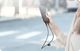 Kabel USB Baseus Baseus Kabel Halo Data USB-C LED 5A 2m CATGH-H01 15