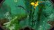 Subnautica Xbox One 3