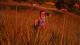 Hello Neighbor Xbox One 2