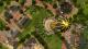 Cities Skylines Parklife Edition Xbox One 4