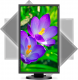 Monitor NEC MultiSync E243WMi (60003681) 2