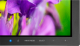 Monitor NEC MultiSync E243WMi (60003681) 4