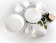 Mondex MISKA PORCELANOWA 16cm 750ml ROSE2 MONDEX 2