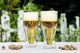 Vialli Design SZKLANKA DO PIWA Z PODWÓJNĄ ŚCIANKĄ AMO 350ml 20313 VIALLI DESIGN 3