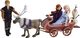 Hasbro Frozen 2 Sledding Adventurous (E5517) 5