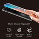 Whitestone DOME GLASS GALAXY NOTE 10+ PLUS 2