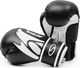 SMJ sport Rękawice bokserskie SMJ Hawk 2019 Black 12 oz 1
