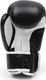 SMJ sport Rękawice bokserskie SMJ Hawk 2019 Black 12 oz 5