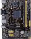 Płyta główna Asus AM1M-A AM1 (2xDDR3/VGA/mATX/USB3.0) 1