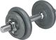 Vivo ‎‎Hantel FG003 żeliwny 1 x 10 kg 1