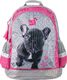 Paso Plecak szkolny Studio Pets Buldog (PEI-116) 1