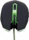 Mysz Gembird MUSG-001-G  (MUSG-001-G) 2