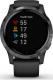 Zegarek sportowy Garmin Vivoactive 4 Grafitowy  (010-02174-13) 1