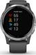 Zegarek sportowy Garmin Vivoactive 4 Szary  (010-02174-02) 1