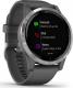 Zegarek sportowy Garmin Vivoactive 4 Szary  (010-02174-02) 2