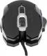 Mysz Manhattan 179164 5