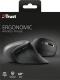 Mysz Trust Verro Wireless Ergonomic (23507) 10