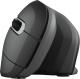 Mysz Trust Verro Wireless Ergonomic (23507) 2