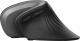 Mysz Trust Verro Wireless Ergonomic (23507) 3